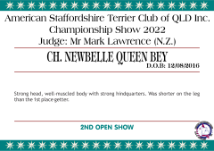 11.A.2. CH. NEWBELLE QUEEN BEY.png